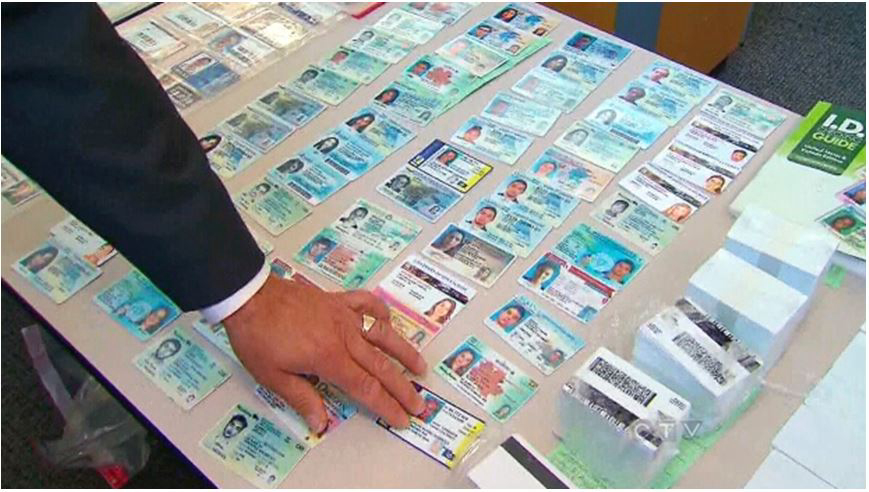 Bogus Braxtor Security Features in Fake Florida Identity Cards | The African Exponent.