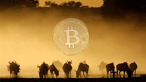 Why Africa Could be the Next Frontier for Cryptocurrency | The African Exponent.