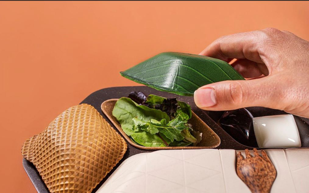 Why Switching to Biodegradable Food Trays is Important | The African Exponent.