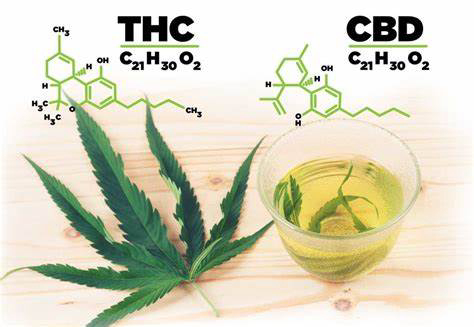 Understanding THC vs. CBD: Choosing the Right Cannabis Products for Your Needs | The African Exponent.