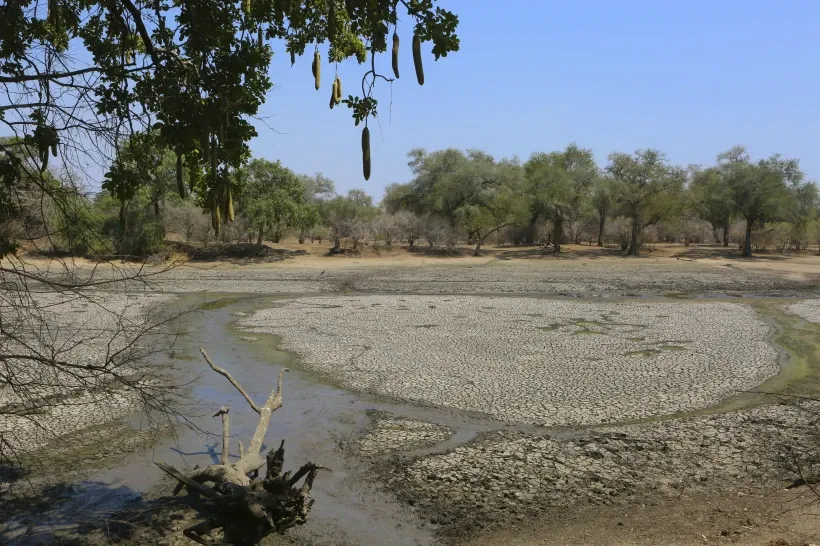 Southern African Nations Face Severe Drought Crisis, Appeal for International Aid
